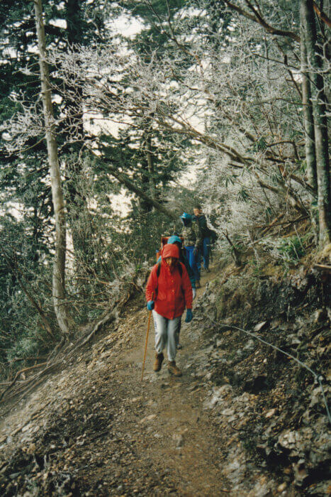 Margaret Stevenson leading hikers on Alum Cave Trail