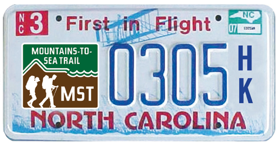 MST-license-plate copy