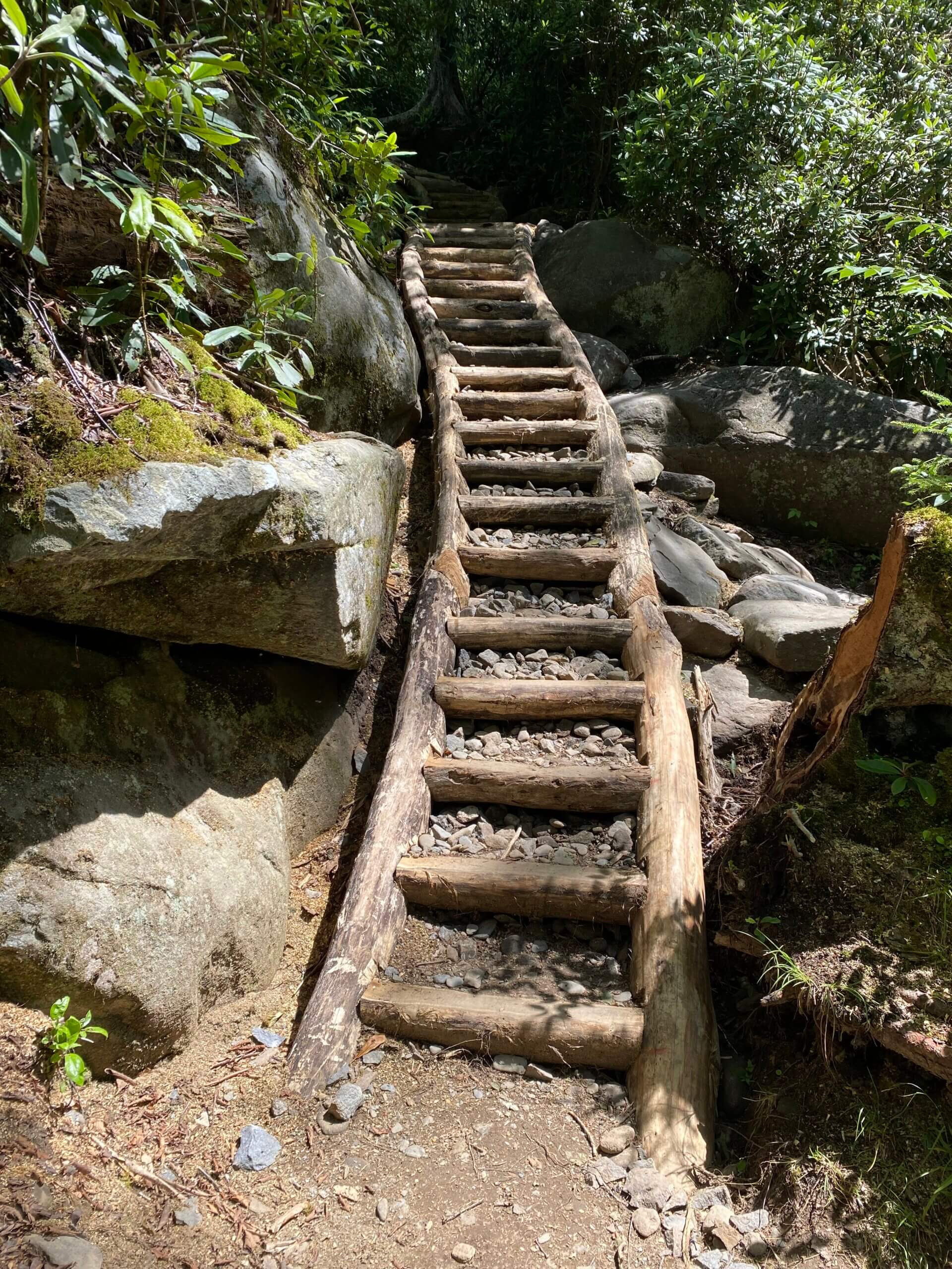 staircase built by FOTS Trails Forever crew on Ramsey Cascades Trail