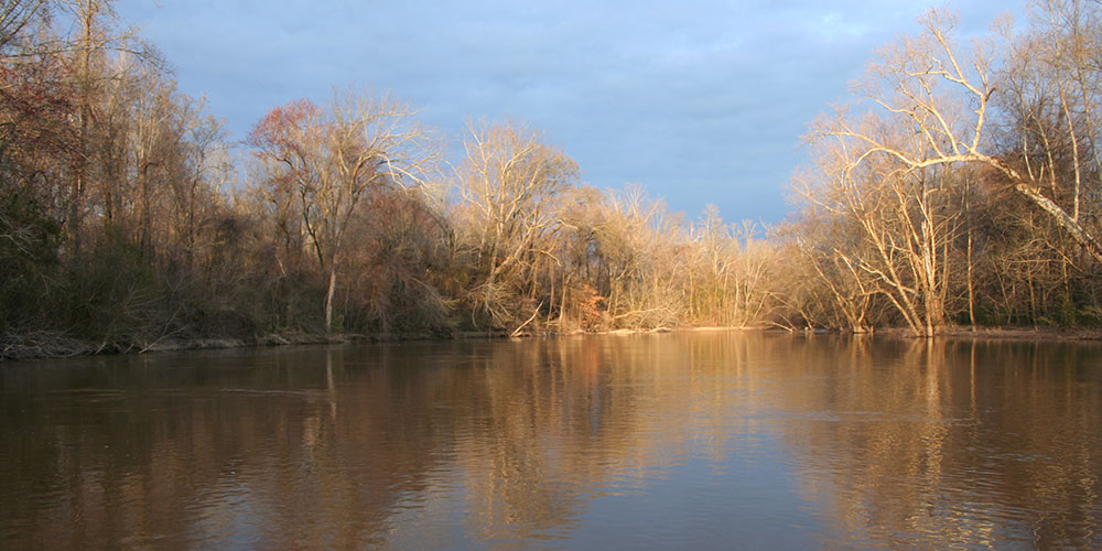The Neuse River in the Let’Lones | Photo © Andy Christensen