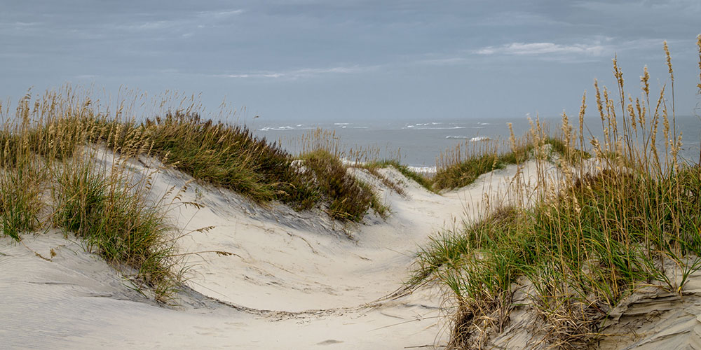 Pea Island Dunes | Photo © Paul Travis