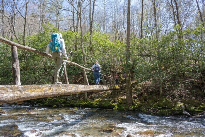 hikers crossing log bridge on Smokemont Loop Trail