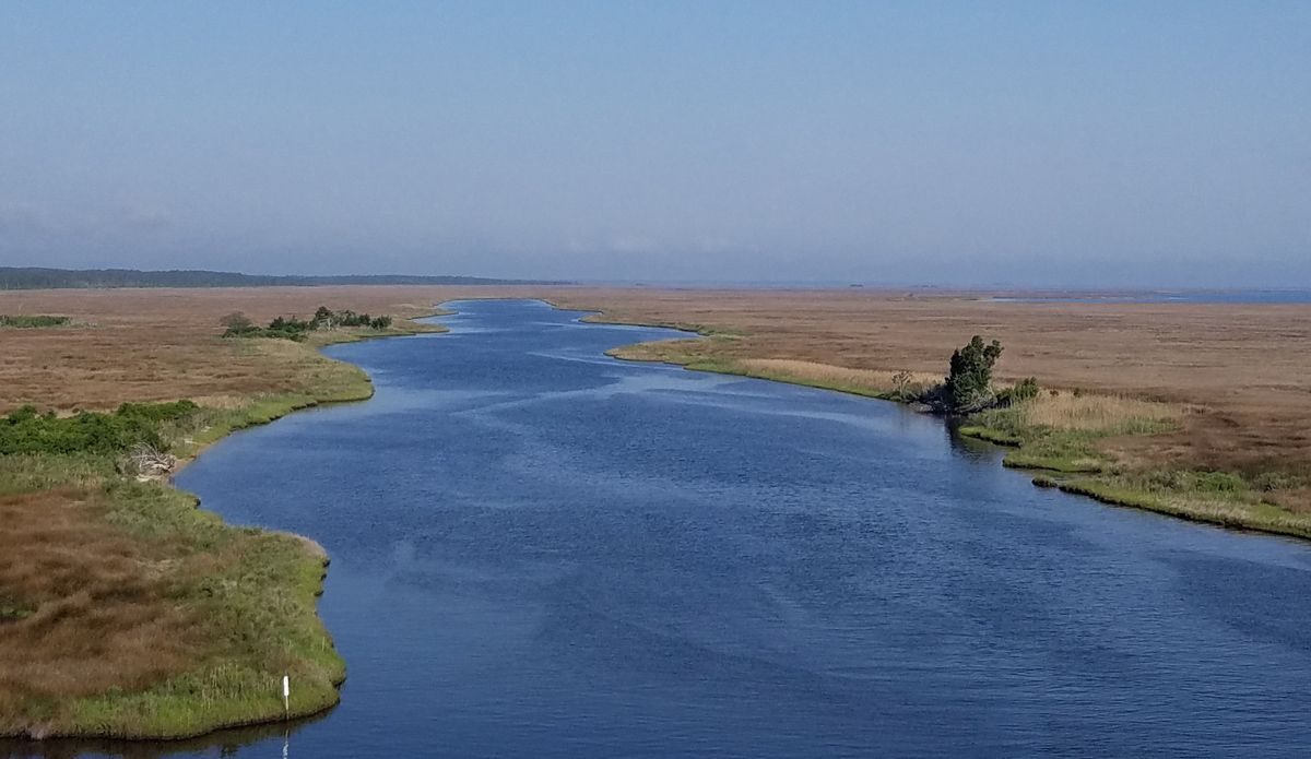 A tidal creek near Cedar Island | Photo © Mary Stewart