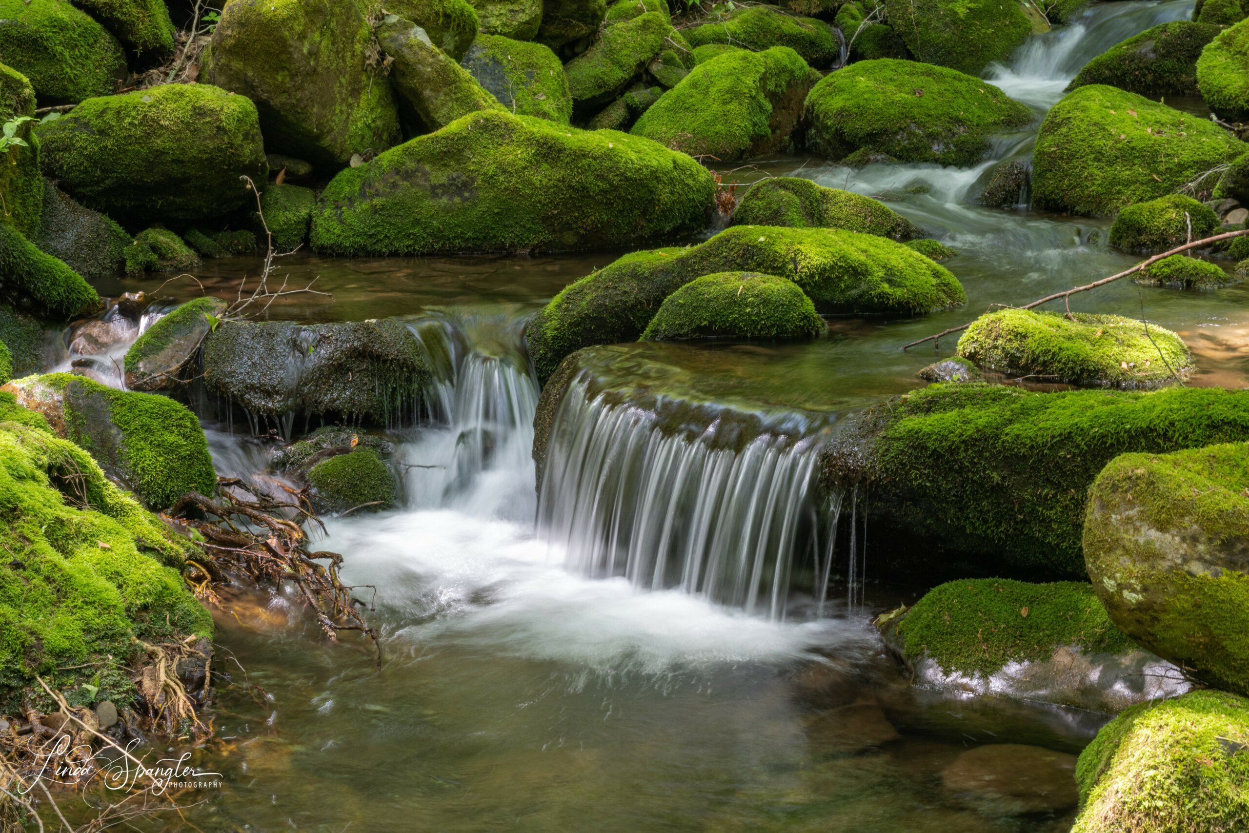 Big Creek in GSMNP